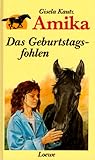 Das Geburtstagsfohlen (Amika, #1)