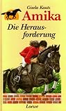 Die Herausforderung (Amika, #6)