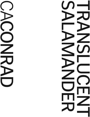 Translucent Salamander (ebook)