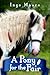 A Pony For The Fair (The Gypsy Pony), A Novel