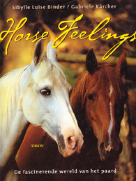 Horse Feelings