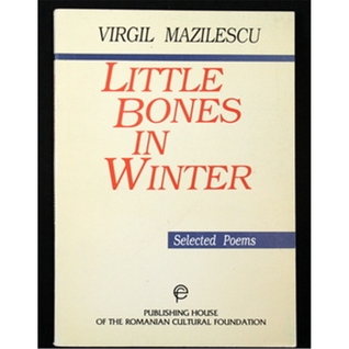 Little bones in winter: Selected poems