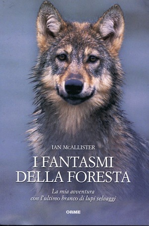 I fantasmi della foresta: La mia avventura con l'ultimo branco di lupi selvaggi