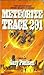 Meteorite Track 291