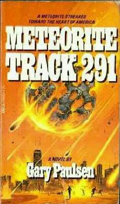 Meteorite Track 291 (Paperback)