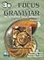 Focus on Grammar 3 Student Book B + Audio Cd