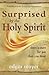 Surprised by the Holy Spirit: There is More for You than You Think