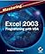 Mastering Excel 2003 Programming with VBA