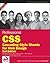 Professional CSS: Cascading Style Sheets for Web Design