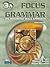 Focus on Grammar 3 Student Book A (without Audio CD)