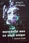 mormântul meu se sapă singur by Mihail Gălăţanu