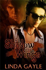 A Shadow of Wings (Kindle Edition)