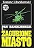 Pan Samochodzik i zagubione miasto