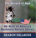 The Wizard of Awe: An Acre of America Backyard Nature Series