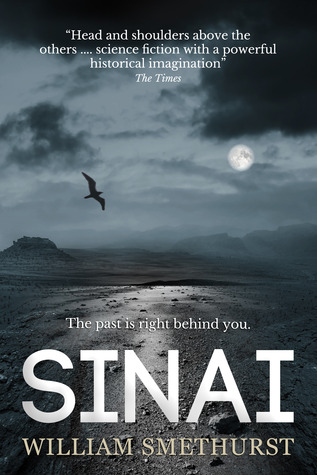 Sinai (Kindle Edition)