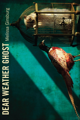 Dear Weather Ghost (Stahlecker Selections)