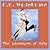 The Adventures of Sally by P.G. Wodehouse