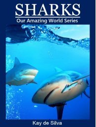 Sharks (Our Amazing World)