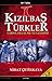 Kızılbaş Türkler