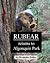 Rubear returns to Algonquin Park by Christopher  Dutton