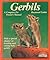 Gerbils: Everything About Purchase, Care, Nutrition, Diseases, Breeding, and Behavior/a Complete Pet Owner's Manual (Barron's Pet Care Series)