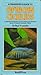 Fishkeeper's Guide to African Cichlids: A Splendid Introduction to This Diverse and Attractive Group of Tropical Freshwater Fishes