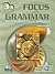 Focus on Grammar 3 Student ...