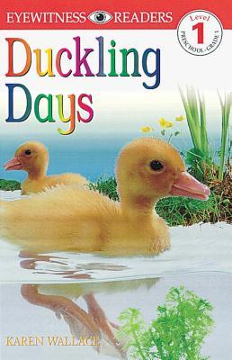 Duckling Days (Paperback)