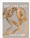 The Fire Ants by Walter R. Tschinkel
