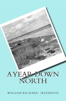 A Year down North (Paperback)