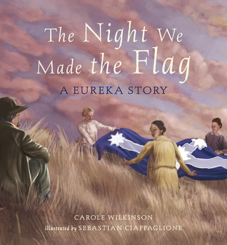 The Night We Made The Flag (Paperback)