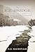 The Ice Bridge by D.R. MacDonald