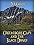 Cretaceous Clay and the Black Dwarf (Cretaceous Clay, #1)