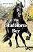 The Stud Horse Boy