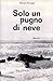 Solo un pugno di neve