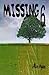 Missing 6 by Alice Ayden