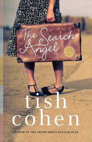 The Search Angel (Paperback)