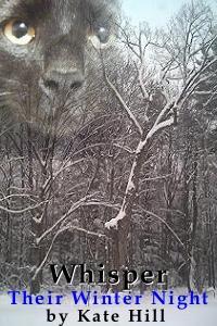 Their Winter Night (Whisper)