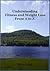 Understanding Fitness and Weight Loss From A to Z