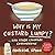 Why Is My Custard Lumpy?: . . . And Other Culinary Conundrums