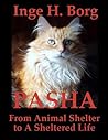 Pasha, From Animal Shelter to A Sheltered Life
