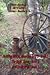Silver Springs Settlers #1-...