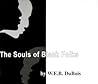 The Souls of Black Folks