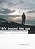 Life Beyond the Sun: An Introduction to Worldview & Philosophy Through the Lens of Ecclesiastes