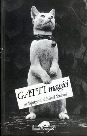 Gatti magici: 40 Supergatti di Nuovi Scrittori (Paperback)