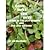 Cook What You Have A Guide to the Lazy Garden and the Lazy Ki... by Ed Helenski