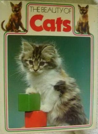 The Beauty of Cats