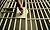 How to get out of prison – ...