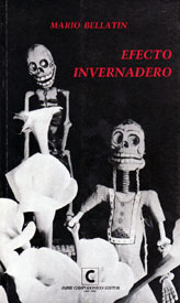 Efecto invernadero (Paperback)