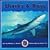 SHARKS & RAYS